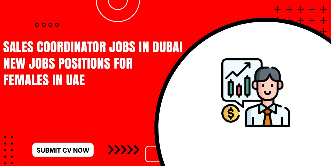 Sales Coordinator Jobs in Dubai Without Experience