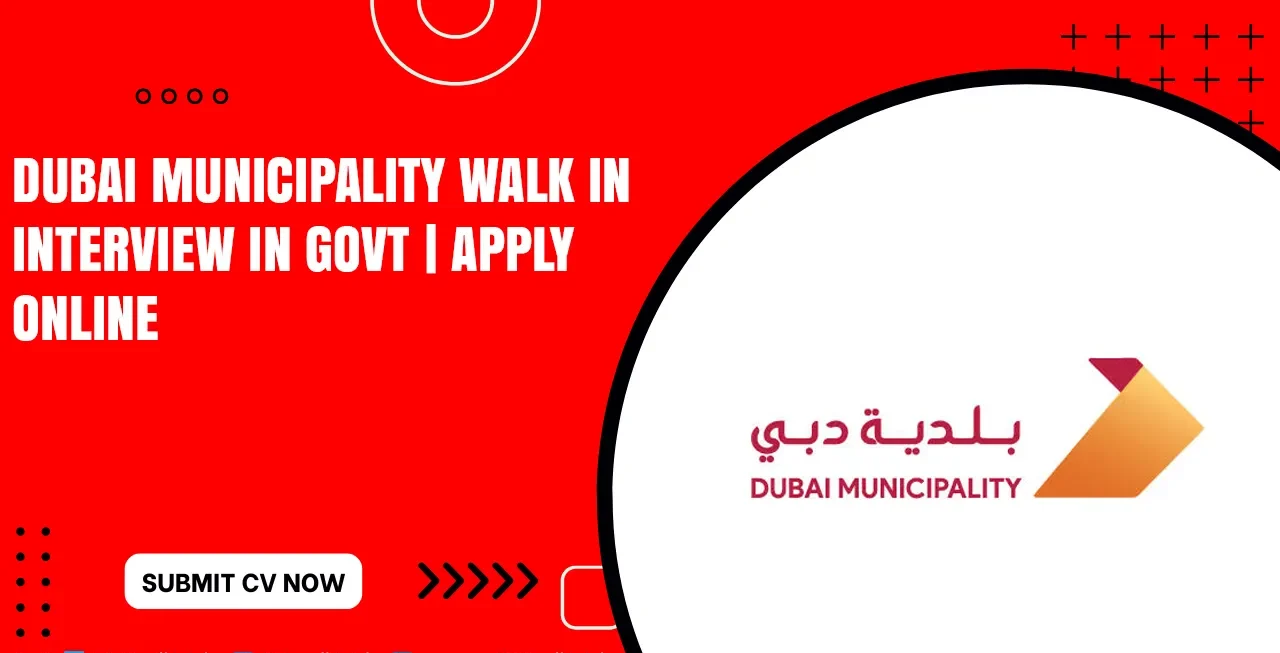 Dubai Municipality Job Opportunities for Freshers